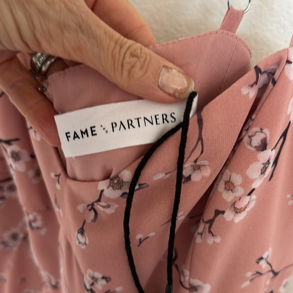 NWT Fame & Partners Cherry Bloom Dress | Size 10 | Coquette Vibes - Picture 6 of 10